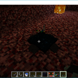 2c05a82b0e934a39e98d22958030b0f5